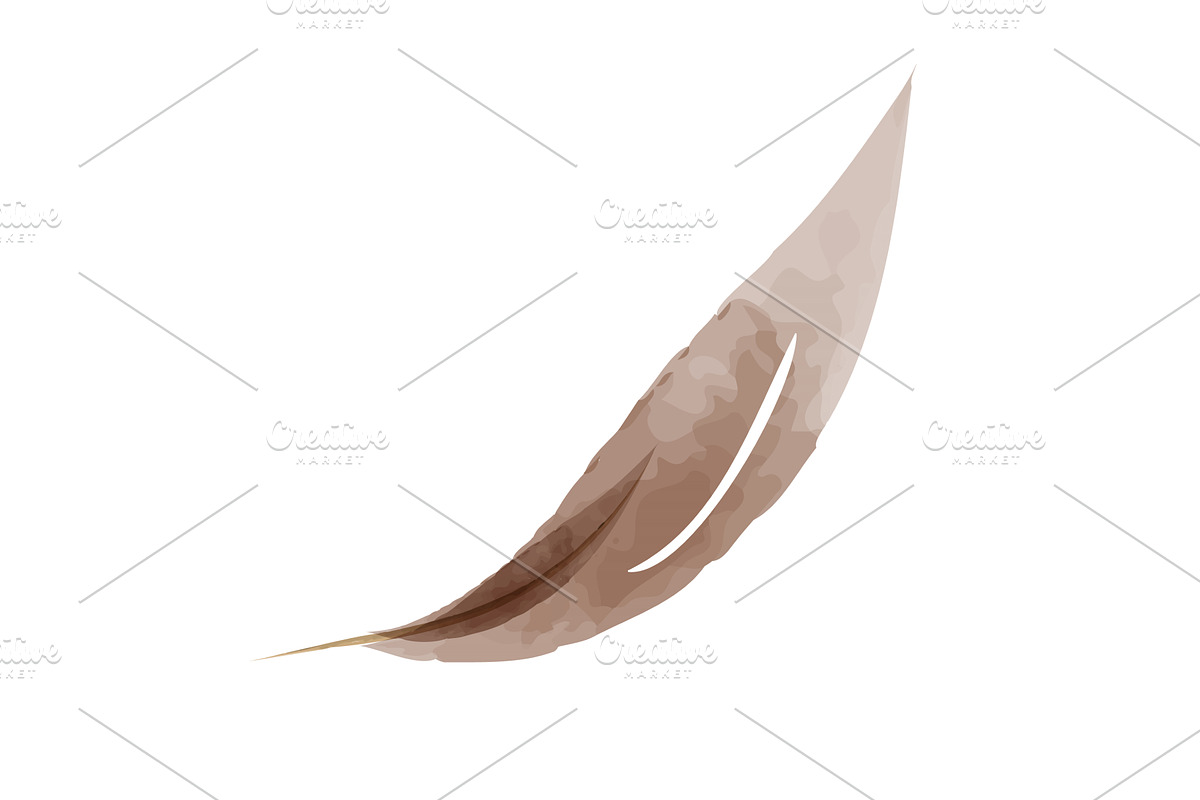 Delicate brown watercolor leaf with, an Illustration by okskukuruza