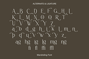 Mandreling, a Serif Font by Zaloma Studio (Thumbnail 14 of 15)