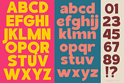 Paygon Sans Family, a Sans Serif Font by TypeClassHeroes (Thumbnail 3 of 15)