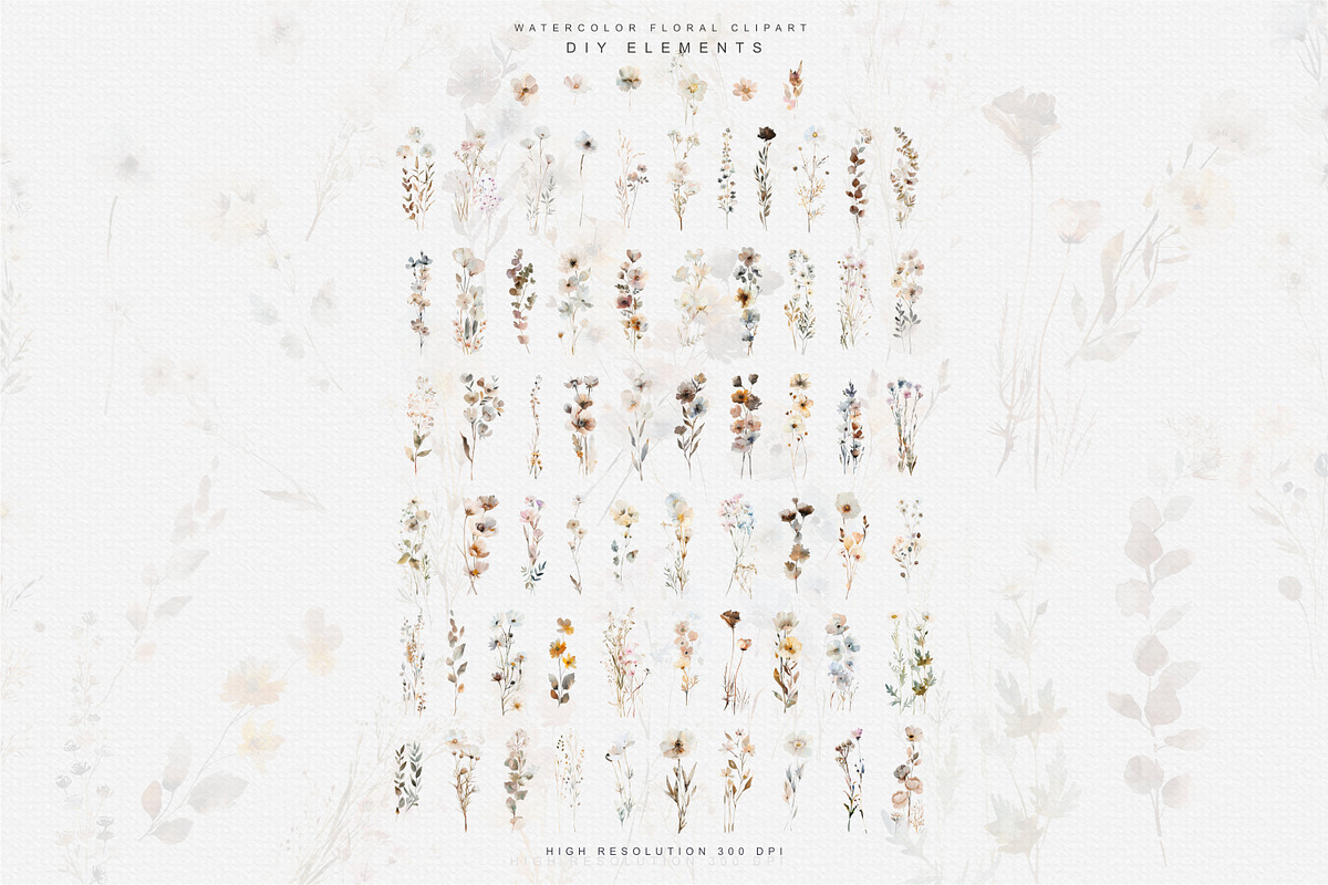 watercolor beige wildflower clipart, a Decorative Illustration by Patishop Art (Photo 10 of 10)