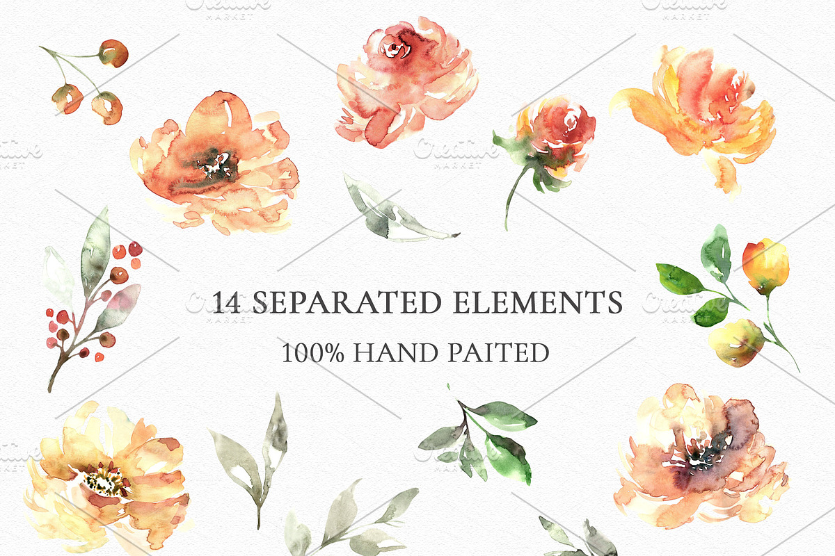 Ginger - Watercolor Flowers Clipart, a Decorative Illustration by MariaScaroniAtelier (Photo 3 of 6)
