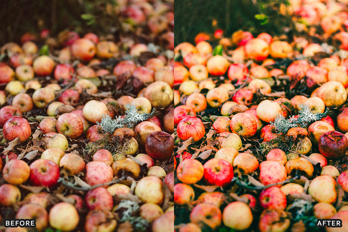 Golden Apple Orchard Presets, a Preset Add-On by AAA Presets (Photo 7 of 14)
