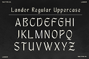 TAN - LANDOR, a Blackletter Font by TanType (Thumbnail 10 of 14)