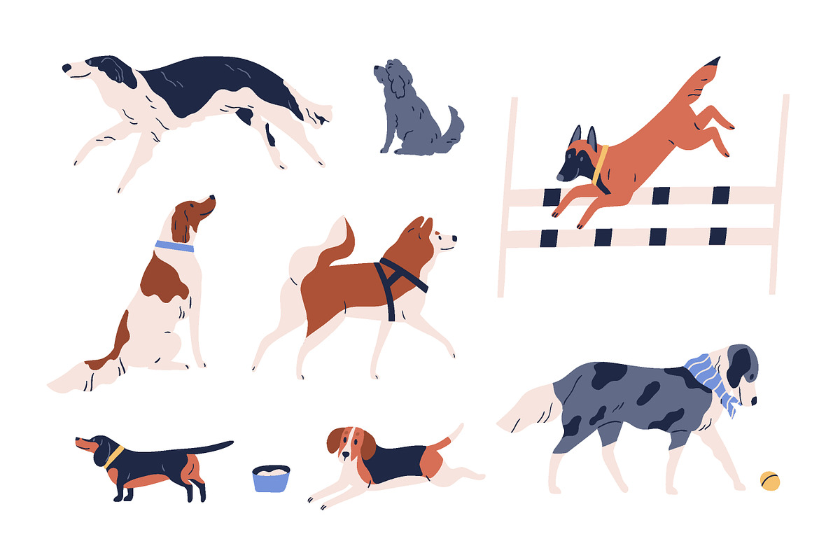 Dogs set, an Animal Illustration by Good Studio