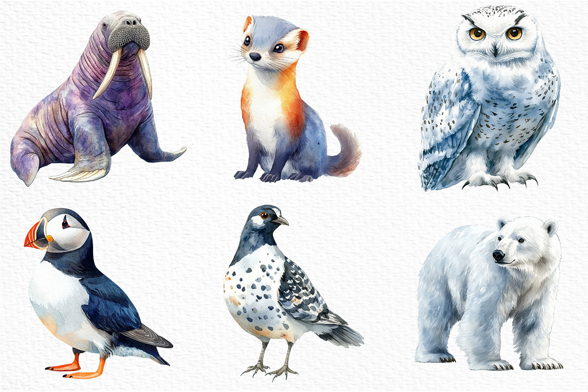 Arctic Animals Clipart, an Illustration by Craft Nest (Photo 5 of 6)