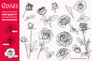 Hand drawn outline vector roses, a Decorative Illustration by MuzaInspires (Thumbnail 2 of 5)