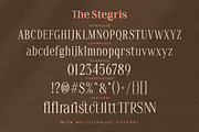 The Stegris Serif Family - 5 Weights, a Serif Font by Letterhend Studio (Thumbnail 9 of 9)