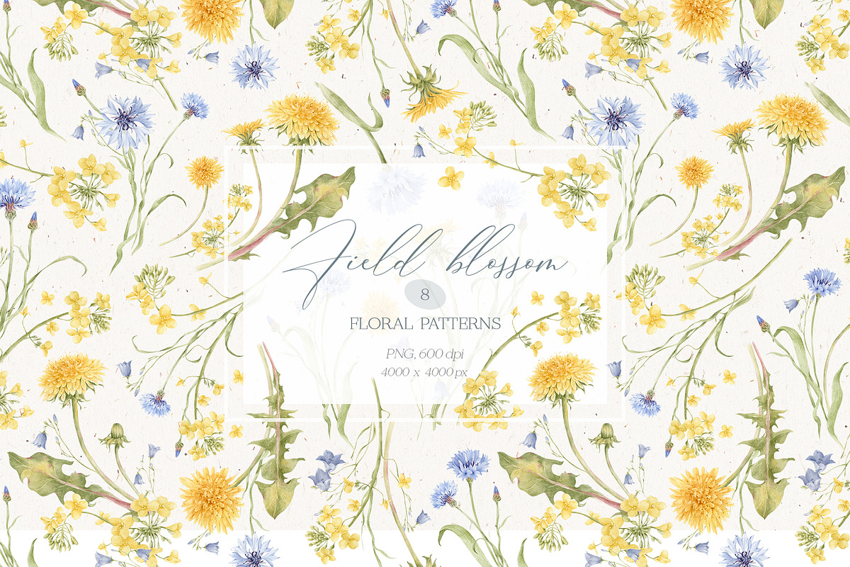 WILDFLOWERS - watercolor collection, an Illustration by Nastya.Chay (Photo 6 of 12)