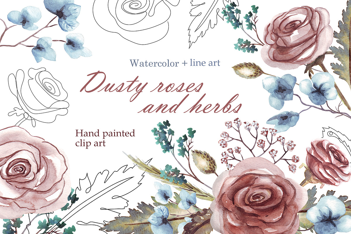 Dusty rose and herbs. Watercolor, an Illustration by Alena Kurian (Photo 1 of 7)