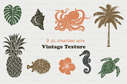 Vintage Tropical Illustrations, an Object Graphic by BirDIY Design (Thumbnail 2 of 8)