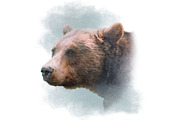 Portrait of a Grizzly Bear in color, an Animal Illustration by Digital Art Downloads (Thumbnail 3 of 4)