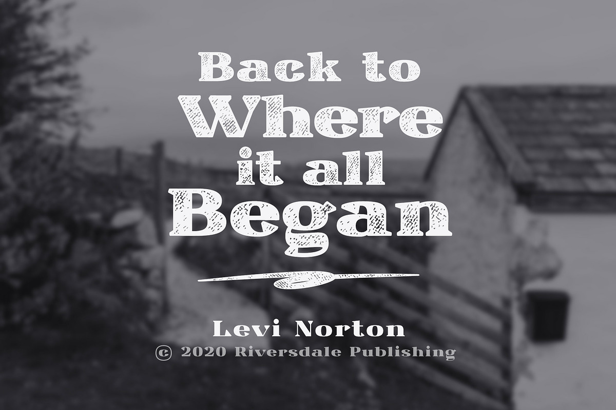 Ardin Distressed Wedge Serif preview 6
