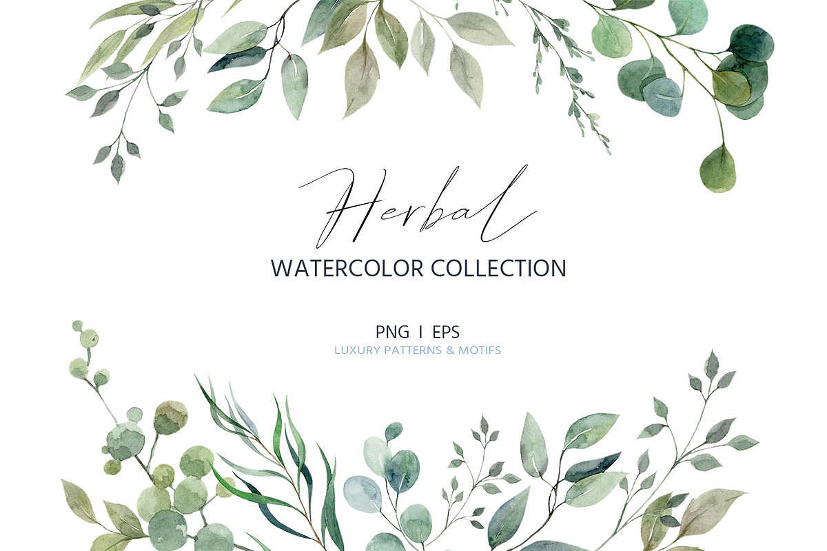 Herbal watercolor collection, a Pattern Graphic by HannaStudio (Photo 1 of 8)
