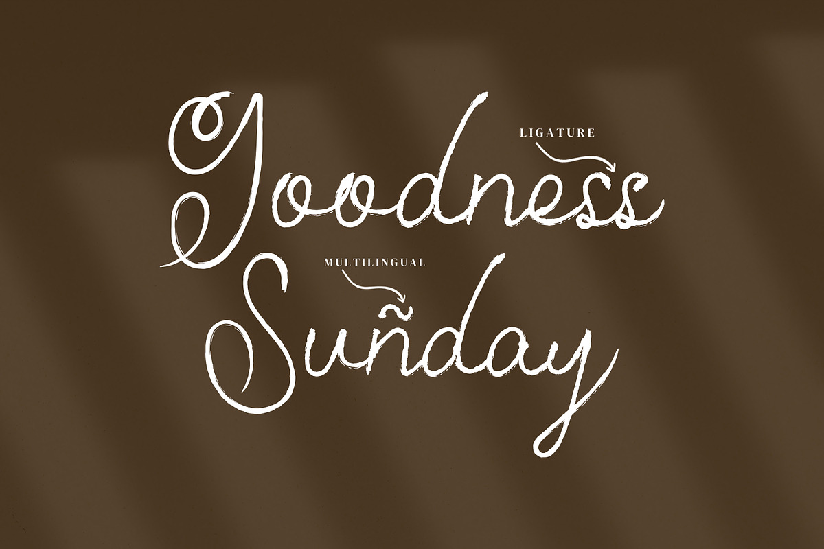 Emillam Script Fonts, a Script Font by mahstudios (Photo 11 of 15)