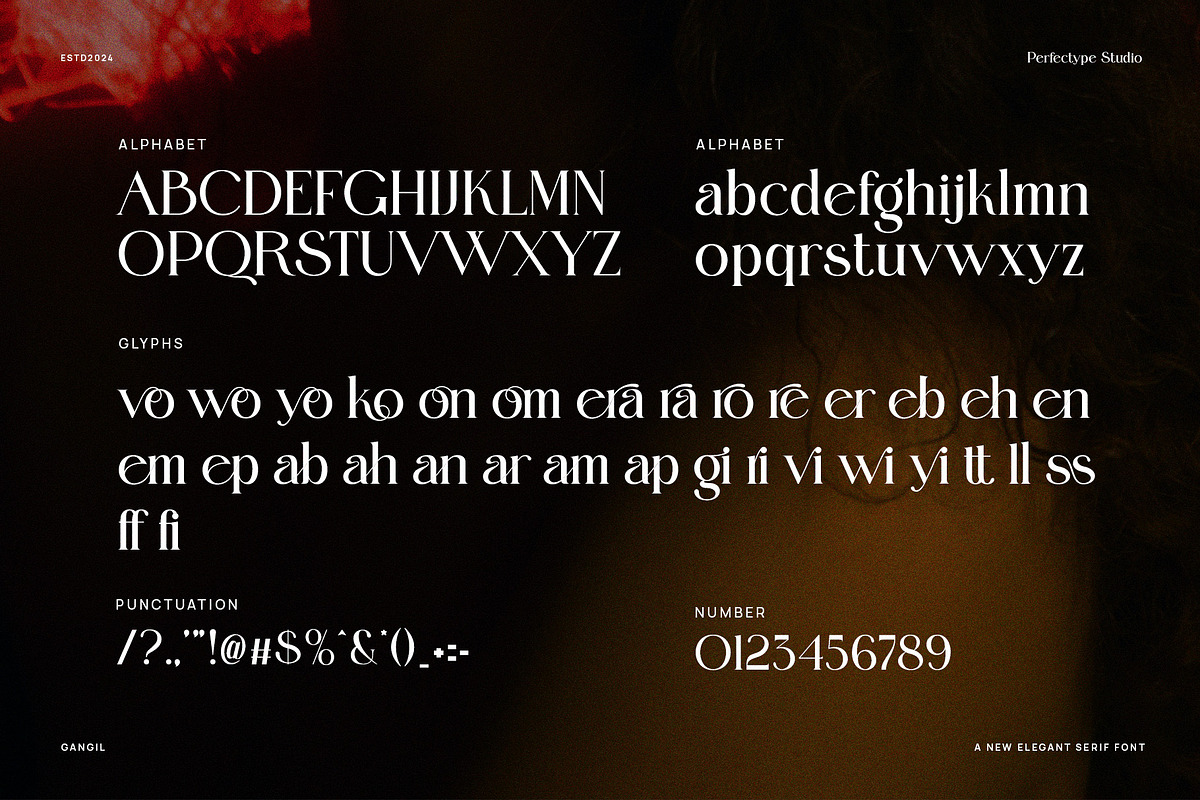 Gangil Modern Serif Font, a Serif Font by Perfectype (Photo 7 of 8)