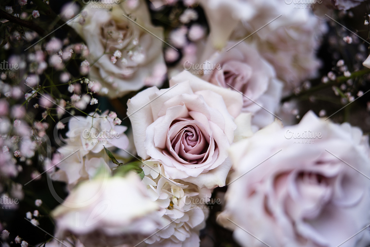 A Garden of Roses | Wedding, Events, a Nature Photo by Farewell (Photo 31 of 41)