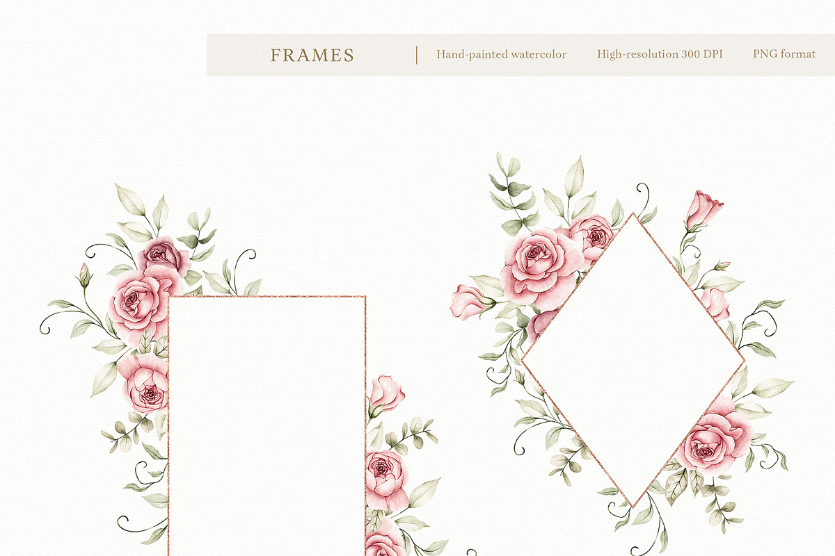 Watercolor Blush Roses Floral Set, a Decorative Illustration by Carol Lozove (Photo 16 of 50)