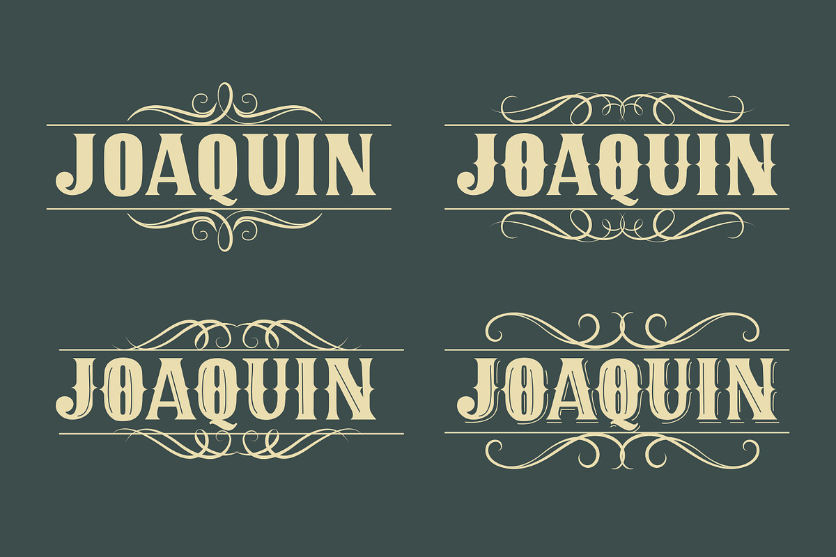 JOAQUIN, a Serif Font by Mozatype (Photo 4 of 11)