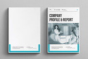 Company Profile & Report Template, a Brochure Template by E-Type (Thumbnail 13 of 13)