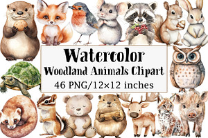Woodland Animals Clipart, an Illustration by Design Market