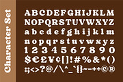 Sorean - Groovy Retro Font, a Serif Font by Grezline Studio (Thumbnail 11 of 13)