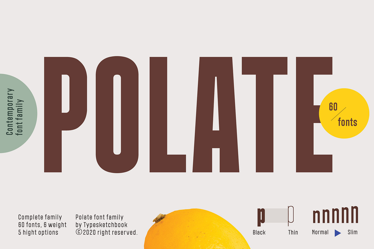 Polate, a Sans Serif Font by Typesketchbook Foundry (Photo 1 of 5)