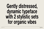 Normal TM – Gently Handled Grotesk, a Sans Serif Font by Type Mania (Thumbnail 2 of 12)