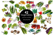 60 Vegetabiles and Fruits., an Illustration by Tatiana Davidova (Thumbnail 3 of 3)