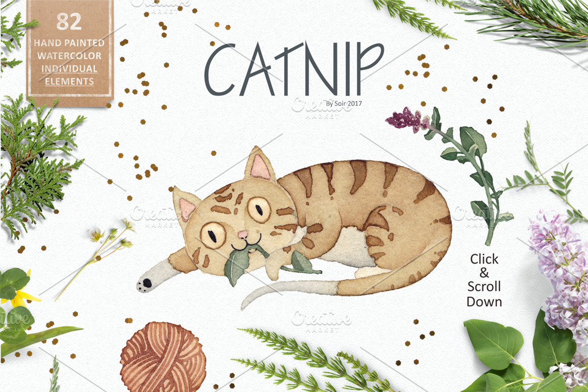 Catnip, a Texture Illustration by Soir Creative (Photo 5 of 6)