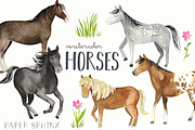 Watercolor Horses Clipart Pack, an Animal Illustration by PaperSphinx (Thumbnail 1 of 3)