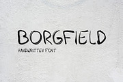 Borgfield | Handwritten Font, a Script Font by Designshot (Thumbnail 1 of 4)