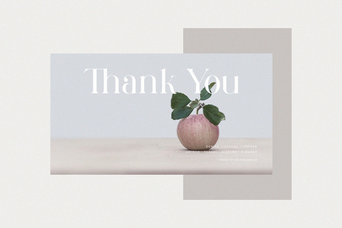 Denike || Stylish Modern Serif, a Serif Font by BrandSemut (Photo 11 of 11)