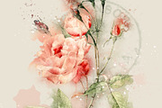 Watercolor Roses Vintage Overlays, an Illustration by ephemoire (Thumbnail 2 of 8)