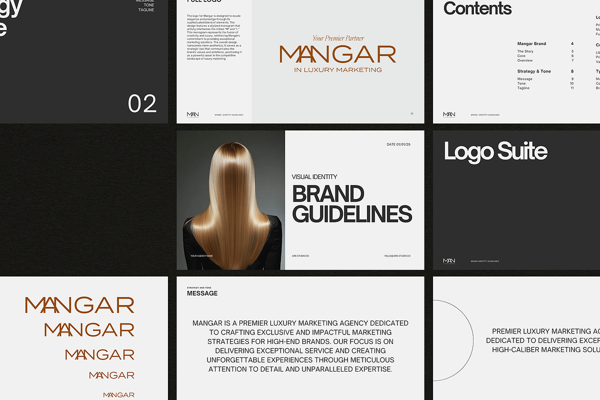 DANA Complete Brand Guidelines, a Branding & Logo Template by Aire Studio (Photo 3 of 9)