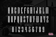 Rolly Molly Display Serif Font, a Blackletter Font by Martalv Works (Thumbnail 3 of 7)