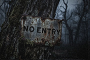 Thornbark Gothic Haunted Forest Disp, a Blackletter Font by AN Productions (Thumbnail 2 of 4)
