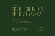 Molina Modern Sans Serif Font, a Serif Font by Graphicxell (Thumbnail 8 of 8)