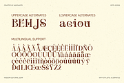Borello Modern Editorial Serif Font, a Serif Font by Vadovastd (Thumbnail 5 of 7)