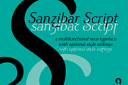 Sanzibar Script, a Script Font by ArtyType (Thumbnail 3 of 8)