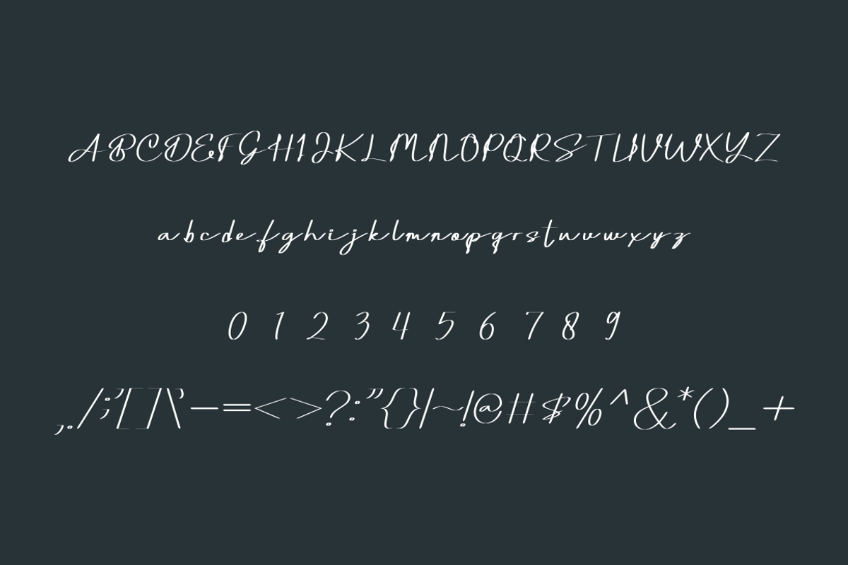 Dilliva Font, a Handwritten Font by albert_kalingga (Photo 4 of 5)