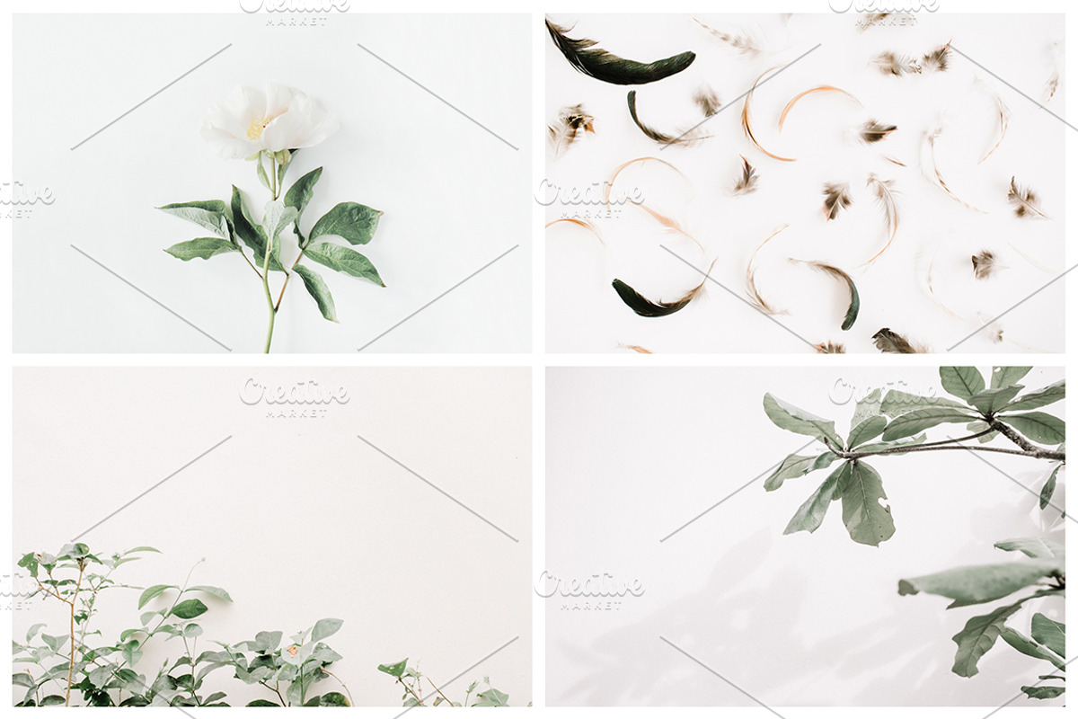 Aesthetic Pastel Styled Stock Photos, a Background Photo by Floral Deco (Photo 10 of 39)