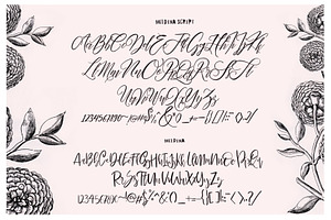 Maldina Feminime 4 Fonts