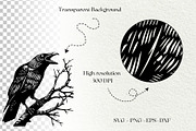 Crow SVG File. Raven Clipart PNG, an Animal Illustration by DENIDigitalArtSudio (Thumbnail 8 of 8)