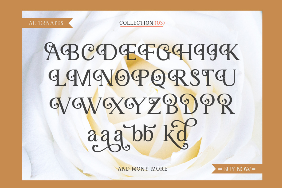 Angilena, a Serif Font by Mantype Studio (Photo 12 of 14)