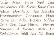 Sangarius // A Chic Serif Typeface, a Serif Font by Megs Lang (Thumbnail 11 of 15)