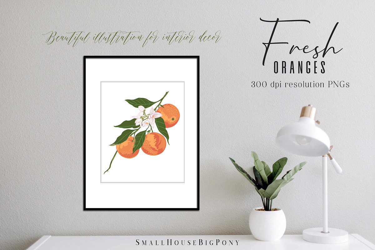 Fresh Oranges Clip art Set, a Graphic by SmallHouseBigPony (Photo 3 of 9)