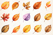 Watercolor Autumn Leaves clipart, an Illustration by Rose Art (Thumbnail 2 of 4)