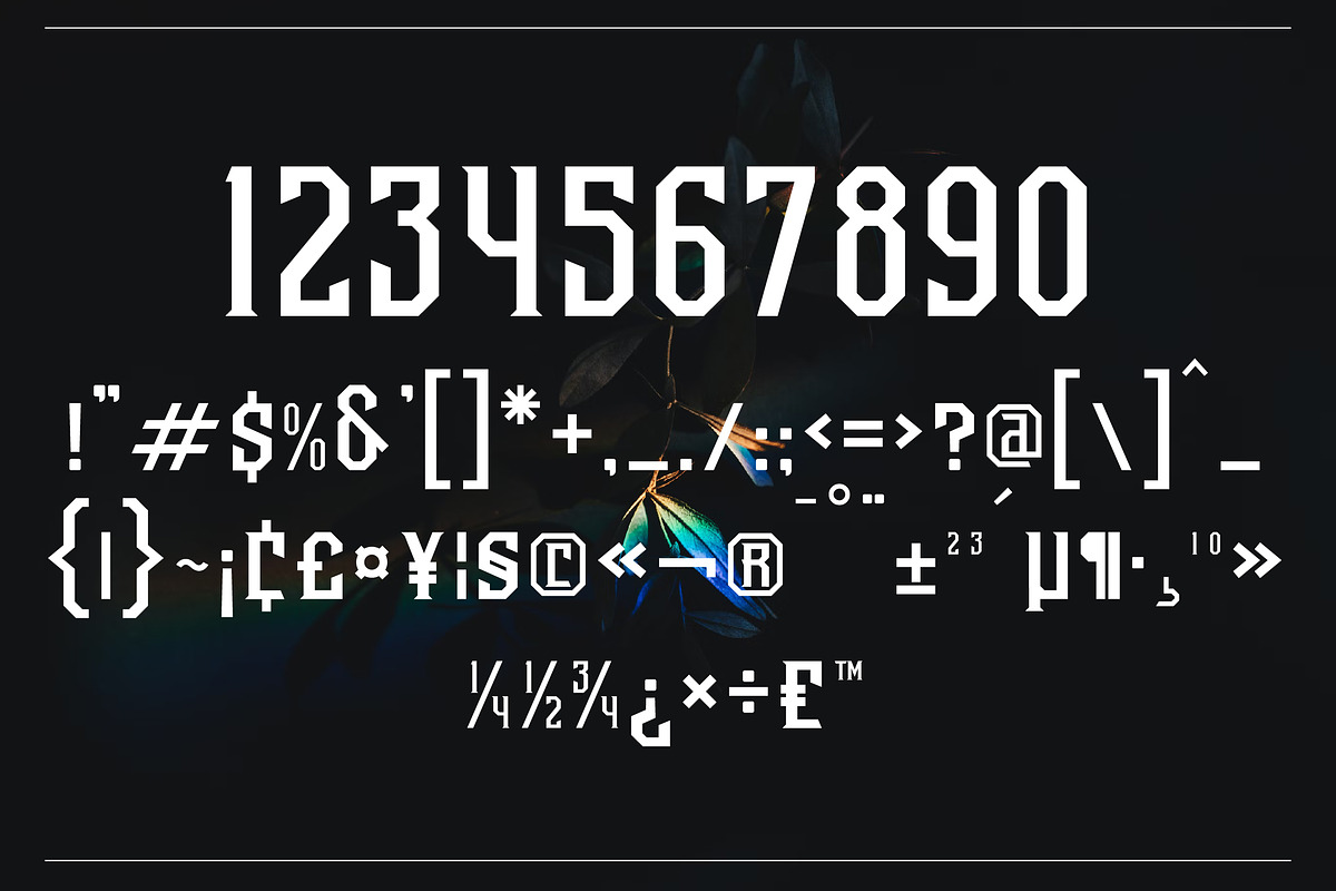 Beatles Stylish Display Font, a Sans Serif Font by Storytype Studio (Photo 13 of 15)