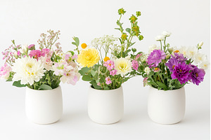 Three vases holding vibrant, a Nature Photo by Lermont51