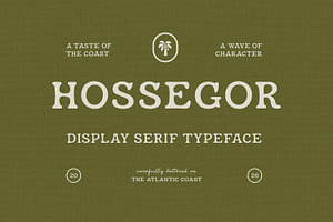 Hossegor - Retro Surf Serif Display, a Serif Font by pixelbuddha.net